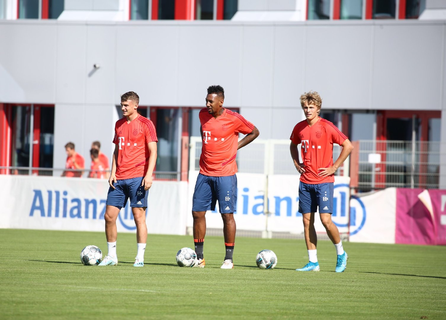 Artificial Stone Trimmer Series